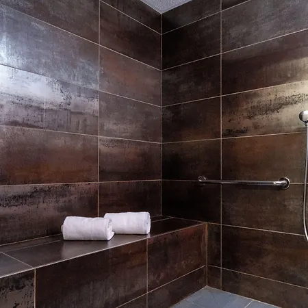 Nemea Grand Coeur Centre 4* 南锡
